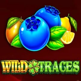 Try Wild Traces slot by Amusnet Interactive on lizaroocasino.pl – logo image